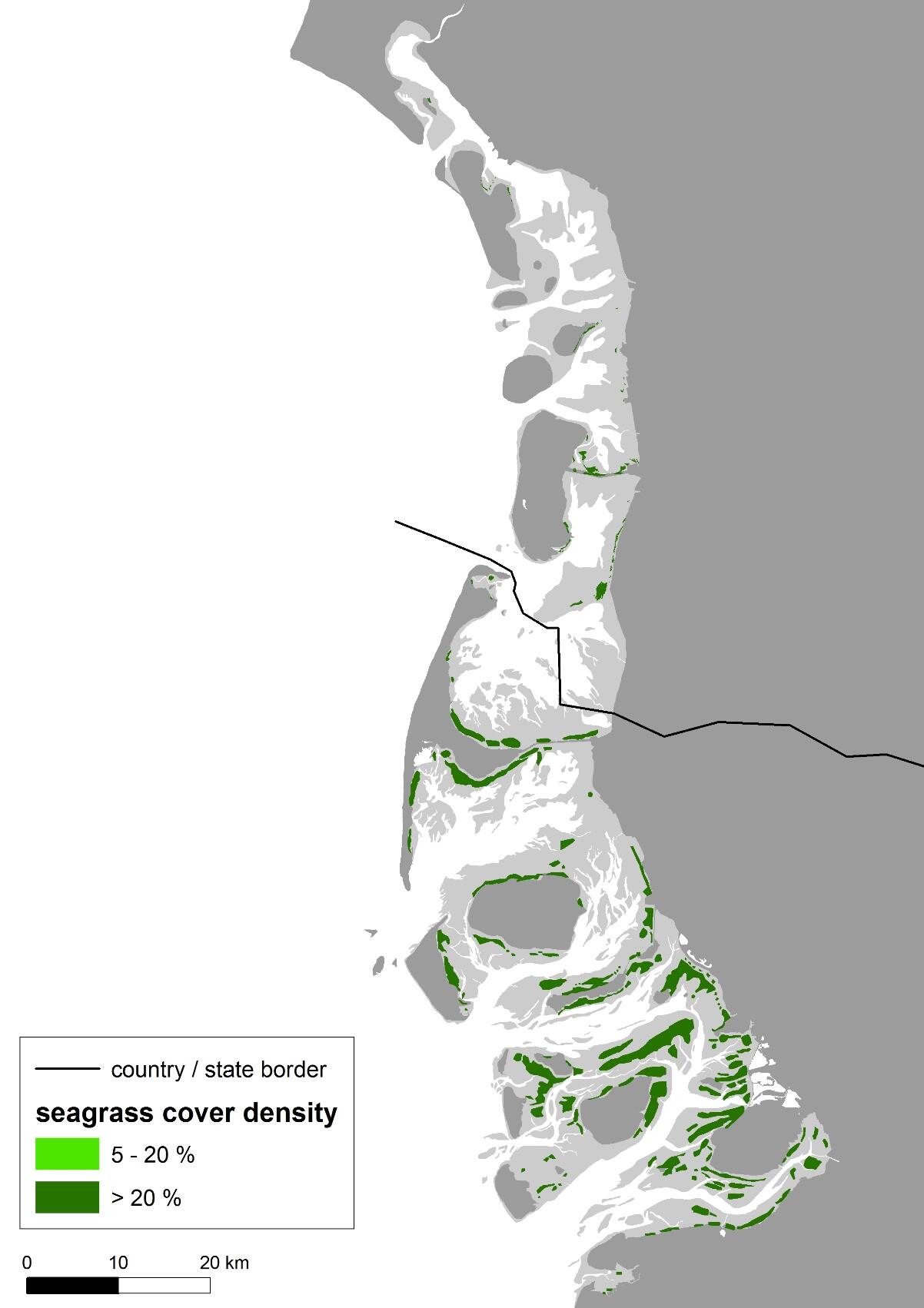 Seagrass | Wadden Sea Quality Status Report